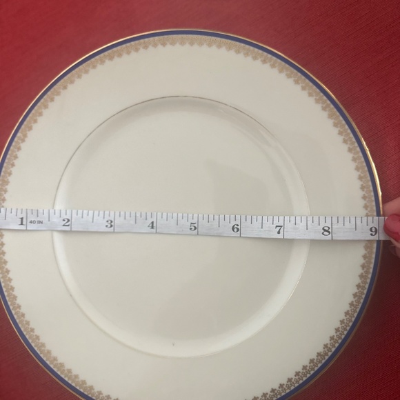 Vintage Schlaggenwald “Vienna” Porcelain Dinner Plates,Czechoslovakia, Set of 12 - Picture 5 of 5